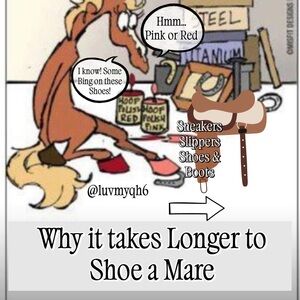 Shoes Boots Sandals & Slippers